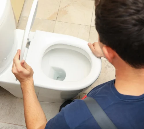 the-plumber-in-overalls-fixes-the-toilet